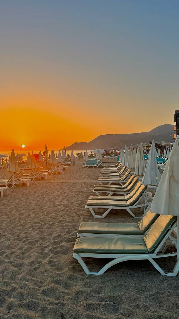 آلانیا، تصویر 3