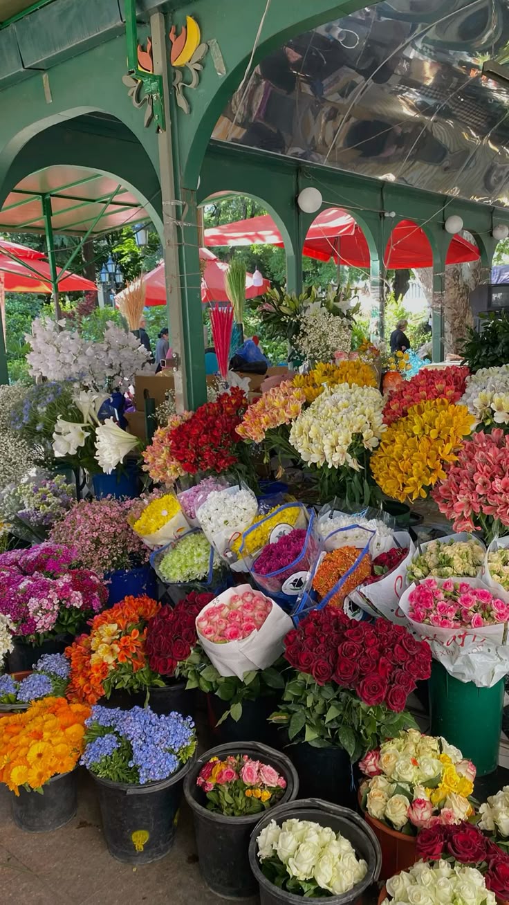 تفلیس، تصویر 1