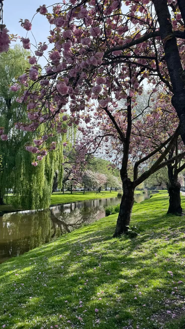 ۱۰ مقصد خارجی جذاب برای سفر در بهار، تصویر گالری 1