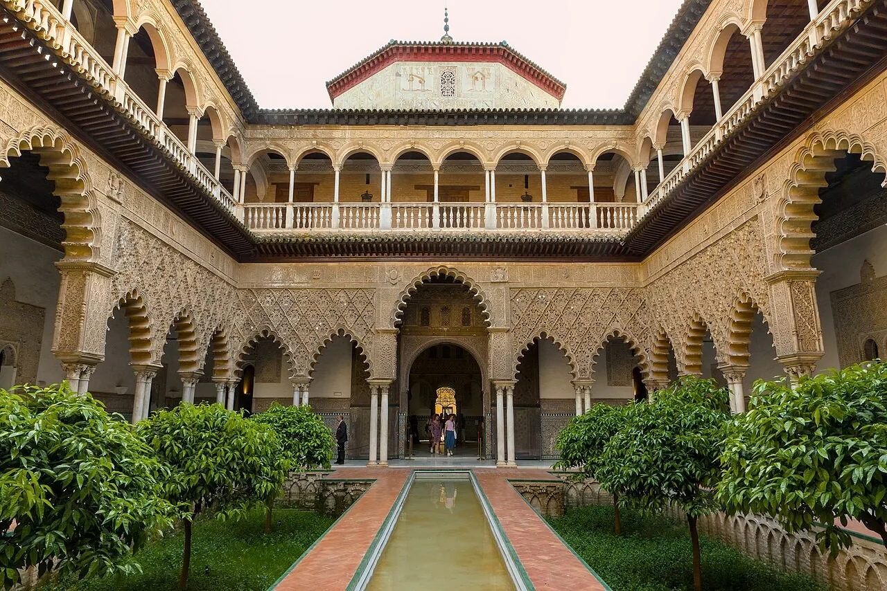 سویا، تصویر 1