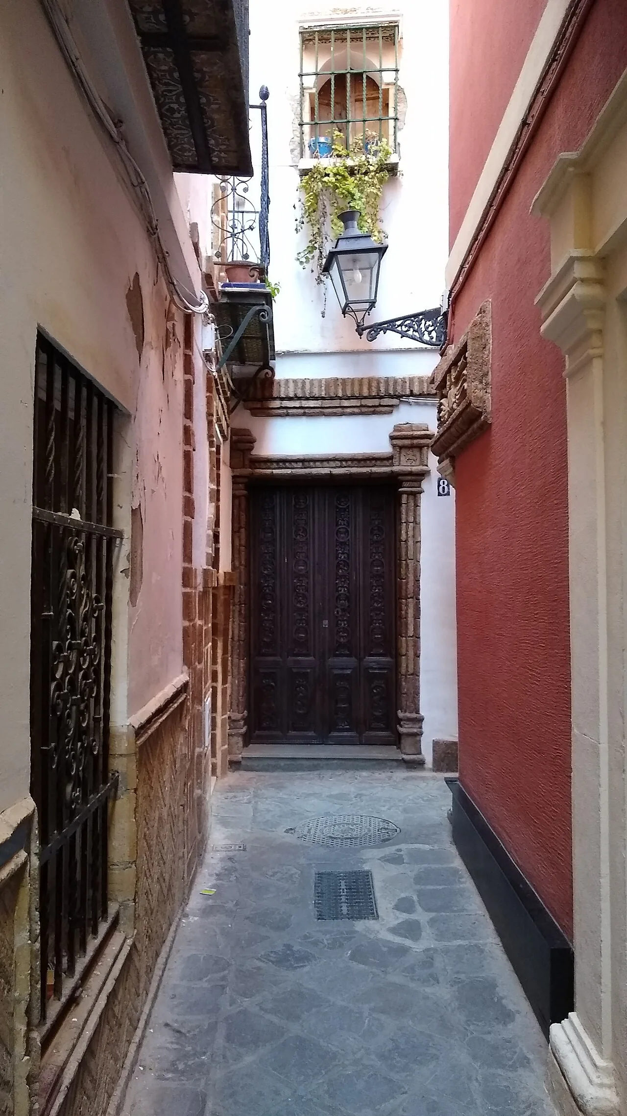سویا، تصویر 3